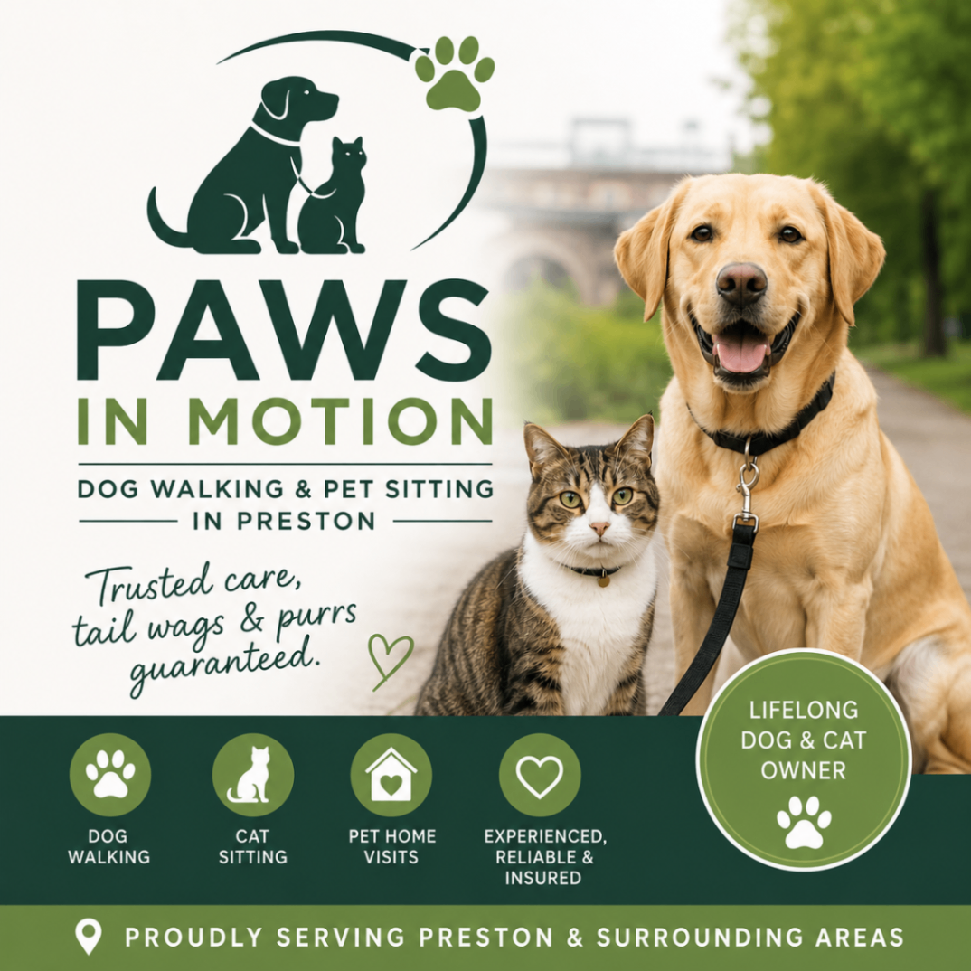 A happy golden Labrador and tabby cat sitting together outdoors in Preston